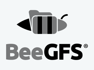 BeeGFS