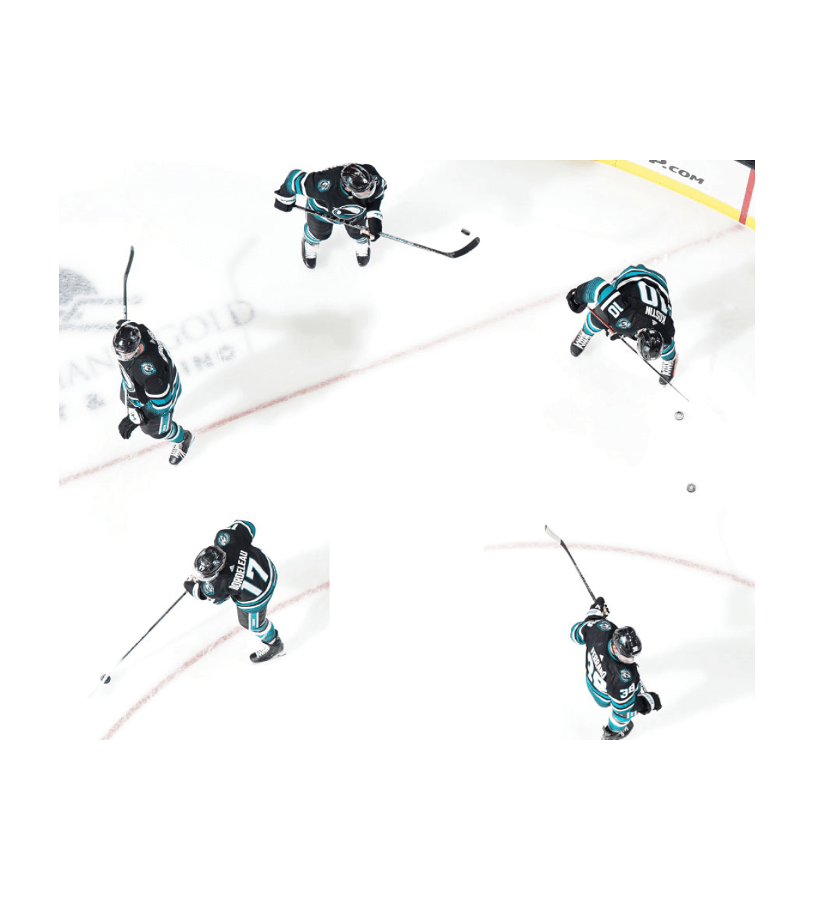 San Jose Sharks